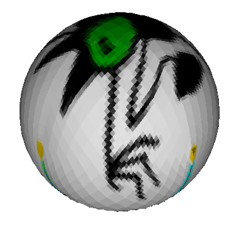 Cell wrapped to form a torus